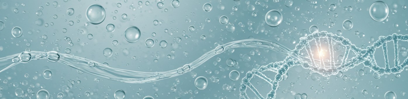 메디컬 에스테틱 사업